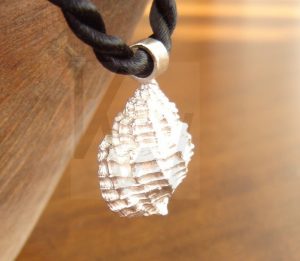 Colgante artesanal de plata en forma de concha marina volumétrica con marcadas estrías horizontales y relieve orgánico, presentado sobre un cordón negro frente a un cuenco de madera.